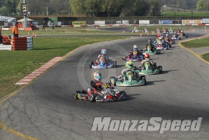 Trofeo Margutti  (52)