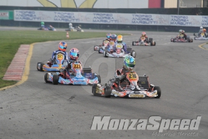 Trofeo Margutti  (79)