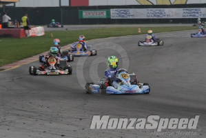 Trofeo Margutti  (80)