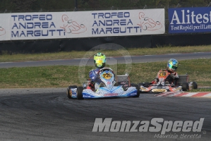 Trofeo Margutti  (81)