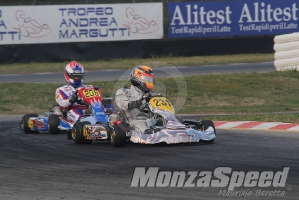 Trofeo Margutti  (83)