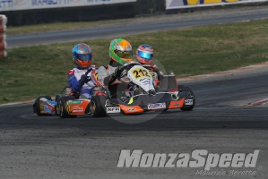 Trofeo Margutti  (85)