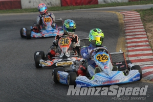 Trofeo Margutti  (88)