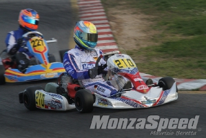 Trofeo Margutti  (90)