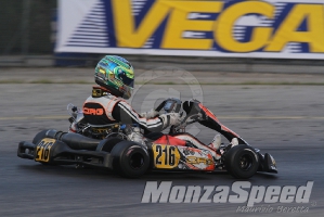 Trofeo Margutti  (91)