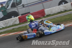 Trofeo Margutti  (95)