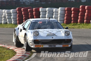 1° Rally Circuito San Martino del Lago (62)