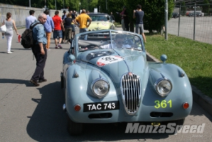 MILLE MIGLIA (121)