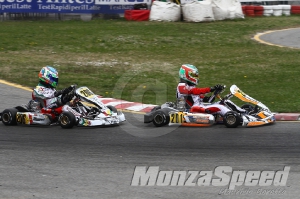 Trofeo Margutti