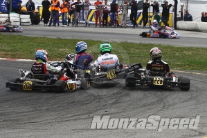 Trofeo Margutti kf  (13)