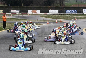 Trofeo Margutti kf  (3)