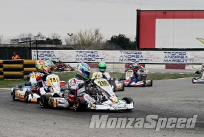 Trofeo Margutti kf  (4)