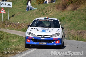 2° Rally del Piemonte (14)