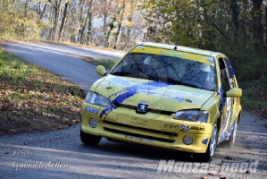 2° Rally del Piemonte (87)