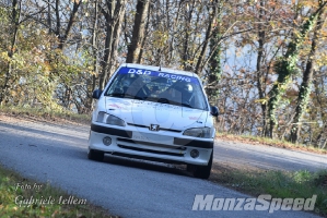 2° Rally del Piemonte (91)