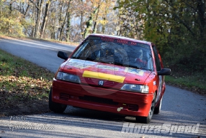 2° Rally del Piemonte (96)