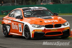 GT 4 European Series  (52)