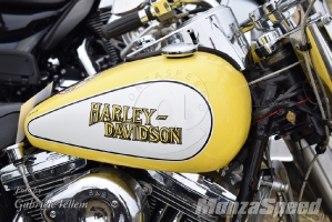  Hills Race - Harley Davidson (22)