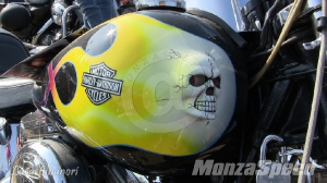  Hills Race - Harley Davidson (50)