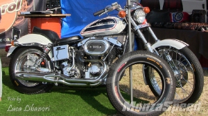  Hills Race - Harley Davidson (65)
