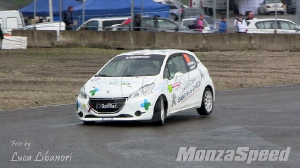 Motors Rally Show Castelletto di Branduzzo (73)