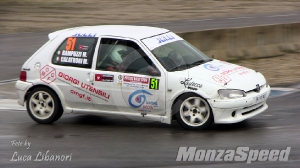 Motors Rally Show Castelletto di Branduzzo (79)