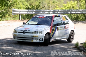 Rally del Bellunese (60)