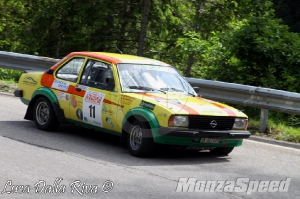 Rally Dolomiti Historic + Revival Dolomiti Historic (7)