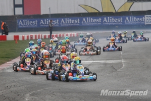 Trofeo Margutti 60 mini (1)