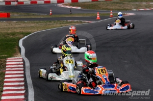 Trofeo Margutti Categoria ok (98)