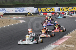 Trofeo Margutti KZ2 (113)