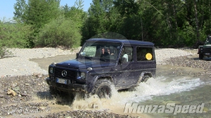 VinoffRoad (206)