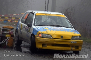 Rally dei Laghi  (117)