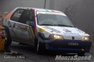 Rally dei Laghi  (121)