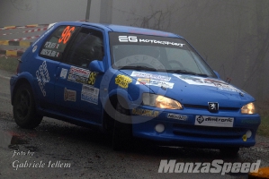 Rally dei Laghi  (122)