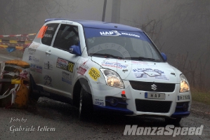 Rally dei Laghi  (123)