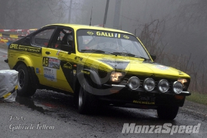 Rally dei Laghi  (126)