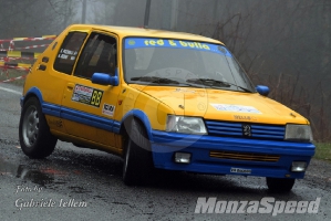 Rally dei Laghi  (128)