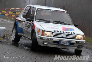 Rally dei Laghi  (129)