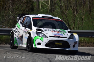 Rally dei Laghi  (13)