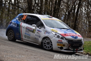 Rally dei Laghi  (37)