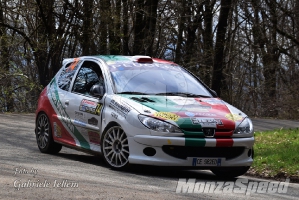 Rally dei Laghi  (40)