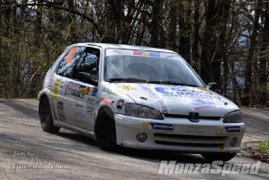 Rally dei Laghi  (42)