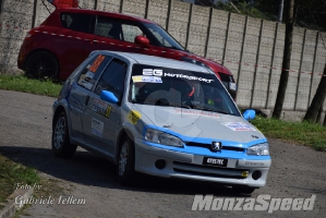 Rally dei Laghi  (59)