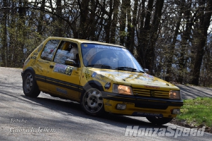 Rally dei Laghi  (73)