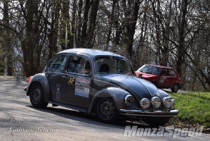 Rally dei Laghi  (85)