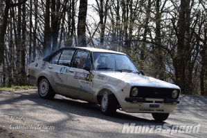 Rally dei Laghi  (91)