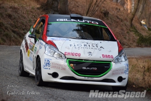 Rally dei Laghi  (92)