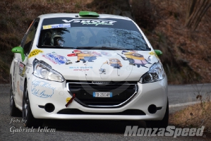 Rally dei Laghi  (94)