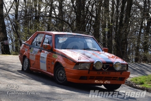 Rally dei Laghi  (99)